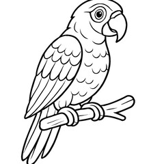 A parrot bird illustration vector style coloring page