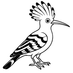 A hoopoe bird illustration vector style coloring page