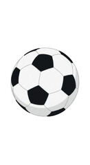 Classic Black and White Soccer Ball.