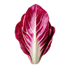 Fresh radicchio leaf with vibrant magenta color and crisp white ribs, moody lighting evokes appetite and texture