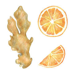Fototapeta premium Hand drawn illustration with spices for graphic design. Ginger root, dried orange slice. Hand drawn colored pencil illustration on white background.