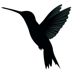 Flying hummingbird silhouette with outstretched wings and long beak, graceful motion and delicate feather detail