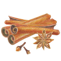 Hand drawn illustration with spices for graphic design. Cinnamon, star anise, carnation. Hand drawn colored pencil illustration on white background.