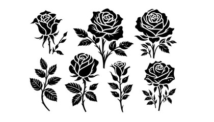 Rose silhouette on white background