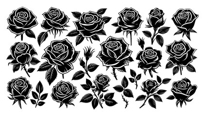 Rose silhouette on white background