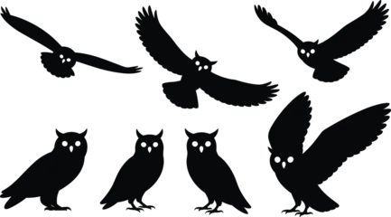 Fotobehang Uiltjes Black owl silhouettes with glowing eyes in flight and perched positions, night bird vector, spooky wildlife design, isolated on white background  © Hey this is Tazim