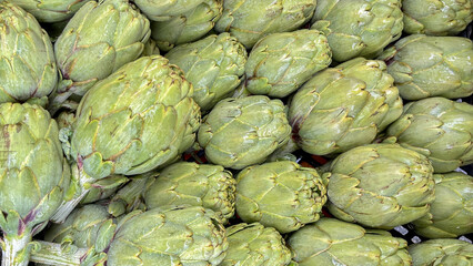 Full Frame Artichoke Flower Buds Close-Up Texture