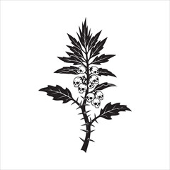 Vector art of deadly nightshade plant with skull berries