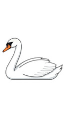 Naklejka premium Elegant White Swan Floating Gracefully on Water.