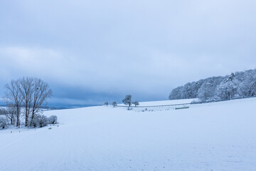 Verschneite Felder und Bäume in Waldems-Bermbach in Hessen mit kalter Winterstimmung