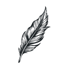 Elegant feather design for creative projects and branding. Vector illustration