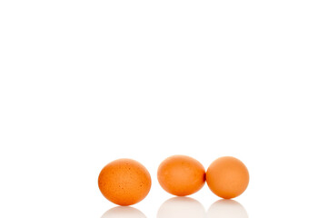 Chicken eggs isolated on white background, close-up.