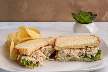 chicken salad sandwich with  chips