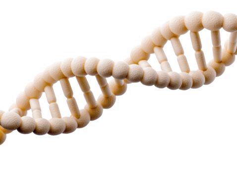 Intricate dna molecule displayed in vivid detail with soft focus highlighting the complexity of genetic structure and its role in personal health isolate on transparent background