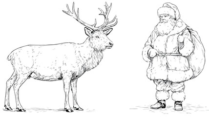 Fototapeta premium Majestic Deer Line Art Illustration for Wildlife Designs