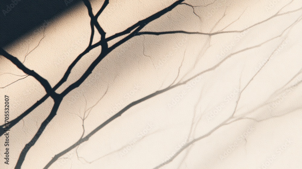 Poster abstract shadows resembling branches cast on a textured surface, creating a serene and artistic ambi