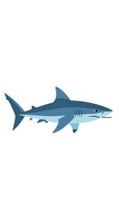 Fototapeta premium Great White Shark Illustration 1.