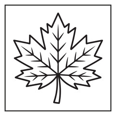 Autumn Coloring Pages | Fall Leaves, Pumpkins, Harvest & Seasonal Designs for Kids and Adults