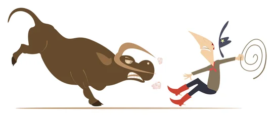 Fotobehang Stierenvechten Farmer or cowboy and angry bull. Rodeo. Farmer or cowboy trying to stop an angry bull. Isolated on white background   © bigmen