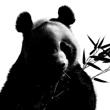 Black and White Panda Eating Bamboo Shadow Texture