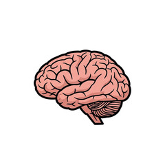 Human Brain Anatomy Illustration 1.