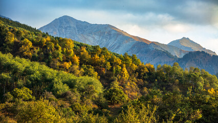 mountain landscape in the morning