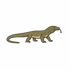 Fototapeta premium A stylized illustration of a Komodo dragon, depicted in profile view.