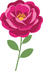 Obraz premium Blooming Magenta Camellia Flower Illustration with Elegant Botanical Leaves, Bright Petals, and Minimalist Nature-Inspired Style for Garden Decor and Creative Floral Design Projects