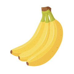 Banana fresh ripe bunch flat color vector illustration on white background