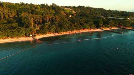 Cinematic 4K golden-hour drone shot of a tropical beach and lush palm trees in the Philippines—perfect for tourism, vlogs, and destination promos.