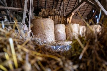 Freiland Museum mit historischen Gebäuden und historischer Einrichtung