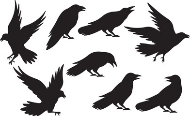 Crow Bird Vector Set – Black, Flying, Animal, Nature, Raven, Wild, Scary, Gothic, Halloween, Silhouette, Flight, Wing, Creepy, Dark, Predator, Wildlife, Symbol, Illustration