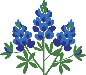 Bluebonnet Flowers Illustration Isolated on White floral