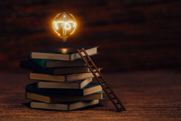 Books stacked with a light bulb on top and a ladder leaning against them represent climbing to success, learning, searching, and inspiration.