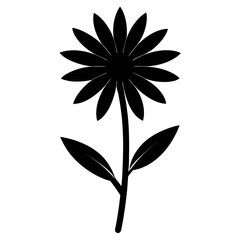 senecio madagascariensis