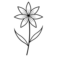 silene fimbriata line art vector on white background