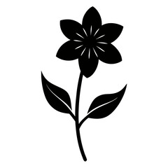 silene fimbriata silhouette vector on white background