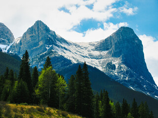 Fototapeta premium Majestic Mount Kidd rises above a lush forest, showcasing nature's beauty. A scenic view for all to enjoy.