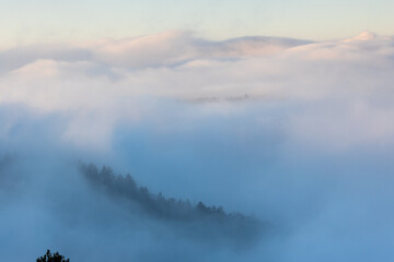 Burgruine Meistersel im Pfälzerwald bei Sonnenaufgang mit Hügeln im Nebelmeer wie kleine Inseln