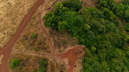 Aerial top view of Vagator hill in Goa during winter, showcasing yellow grass, scattered rocks, green trees, and brown mud paths in a serene landscape.