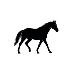 Silhouette of a majestic horse walking gracefully.