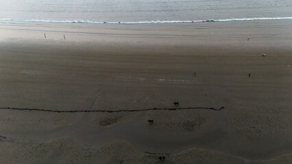 Aerial top-down shot of Miramar Beach in Goa during winters, showing detailed sand textures, gentle sea waves, buffaloes, and people walking along the beach.