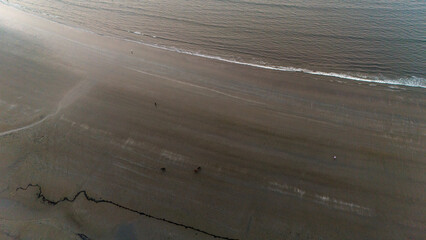 Aerial top-down shot of Miramar Beach in Goa during winters, showing detailed sand textures, gentle sea waves, buffaloes, and people walking along the beach.