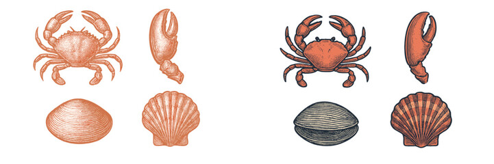 Detailed engraving style marine life collection featuring crabs, individual crab claws, clams, and scallops