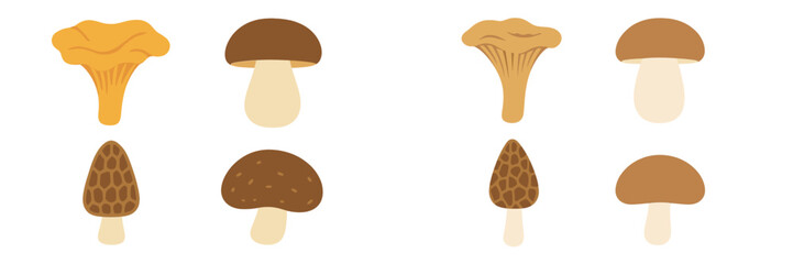 Assortment of edible wild mushrooms featuring chanterelle, porcini, and morel fungi varieties in a clean graphic style
