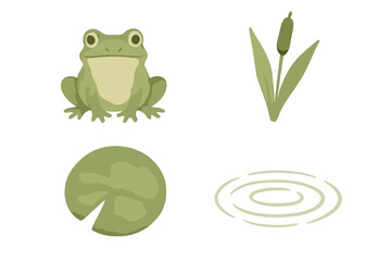 Green frog sitting on a round water lily pad with a tall cattail plant and pond ripples on white