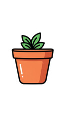 Small green plant growing in a terracotta pot.