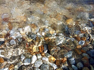 coral reef in the sea