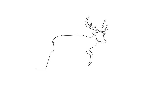 Animated self drawing of a deer on winter condition video design illustration. animal winter season design illustration linear style video concept. Great design for campaign and business purpose.