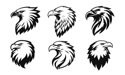 Collection of eagle heads in black and white vector style with a sharp beak and expressive eyes directed forward, eagle head, bird head, eagle face, bird of prey